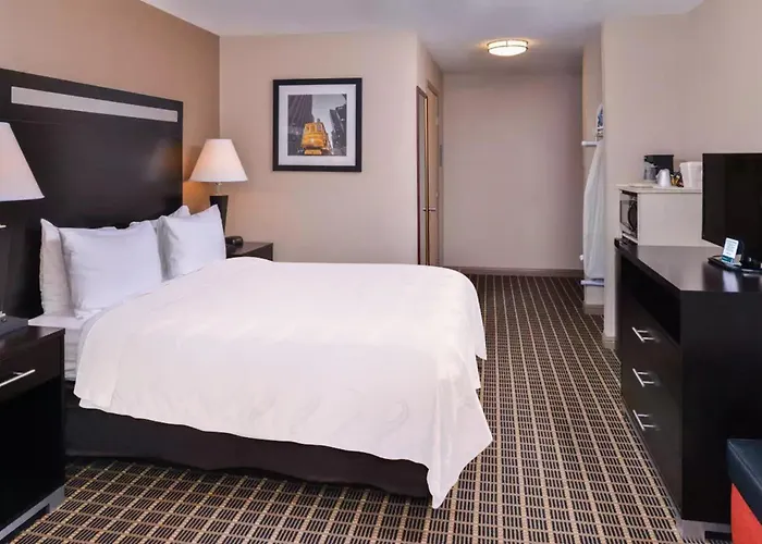 Hotel Nova Sfo South San Francisco